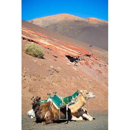 Casa Morro Blanco Βίλα Conil